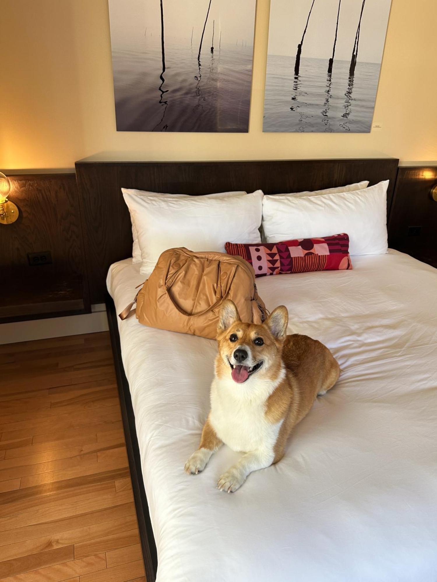 The Francis Hotel Портланд Екстериор снимка